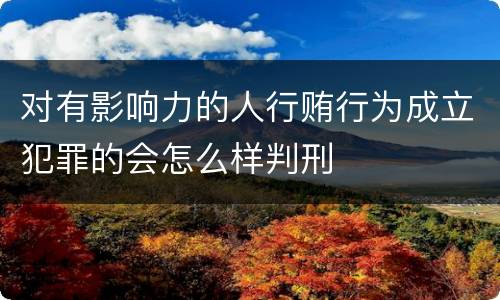 对有影响力的人行贿行为成立犯罪的会怎么样判刑