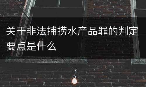关于非法捕捞水产品罪的判定要点是什么