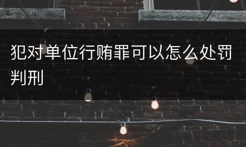 犯对单位行贿罪可以怎么处罚判刑