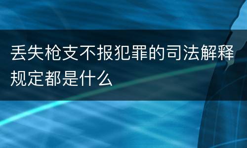 丢失枪支不报犯罪的司法解释规定都是什么