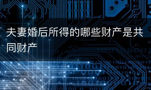 夫妻婚后所得的哪些财产是共同财产