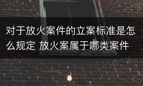 对于放火案件的立案标准是怎么规定 放火案属于哪类案件