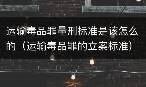 运输毒品罪量刑标准是该怎么的（运输毒品罪的立案标准）