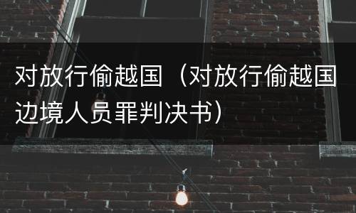 对放行偷越国（对放行偷越国边境人员罪判决书）
