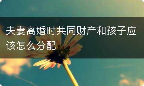 夫妻离婚时共同财产和孩子应该怎么分配