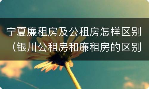 宁夏廉租房及公租房怎样区别（银川公租房和廉租房的区别）