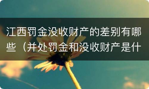 江西罚金没收财产的差别有哪些（并处罚金和没收财产是什么意思）