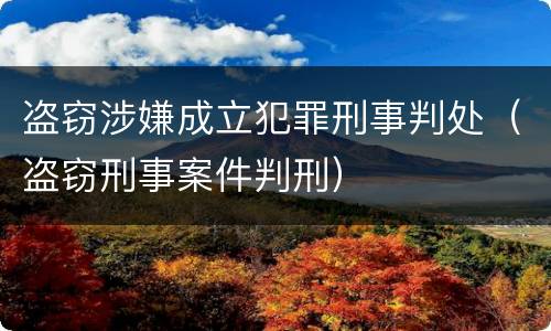 盗窃涉嫌成立犯罪刑事判处（盗窃刑事案件判刑）
