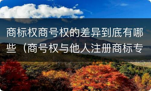 商标权商号权的差异到底有哪些（商号权与他人注册商标专用权的冲突）