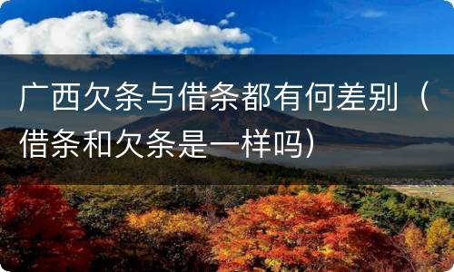 广西欠条与借条都有何差别（借条和欠条是一样吗）