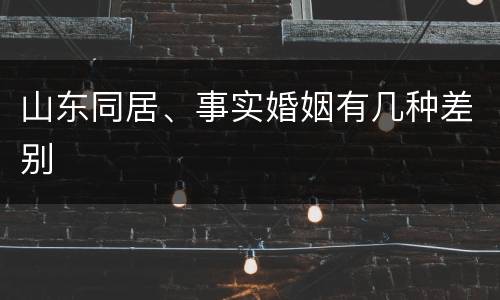 山东同居、事实婚姻有几种差别