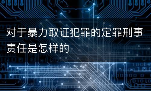 对于暴力取证犯罪的定罪刑事责任是怎样的