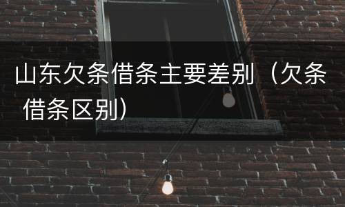山东欠条借条主要差别（欠条 借条区别）