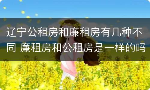 辽宁公租房和廉租房有几种不同 廉租房和公租房是一样的吗