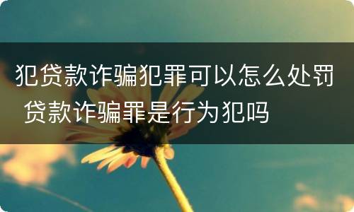 犯贷款诈骗犯罪可以怎么处罚 贷款诈骗罪是行为犯吗
