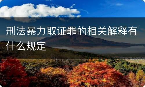 刑法暴力取证罪的相关解释有什么规定