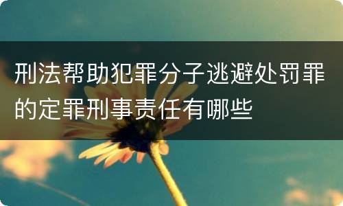 刑法帮助犯罪分子逃避处罚罪的定罪刑事责任有哪些