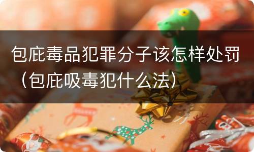 包庇毒品犯罪分子该怎样处罚（包庇吸毒犯什么法）