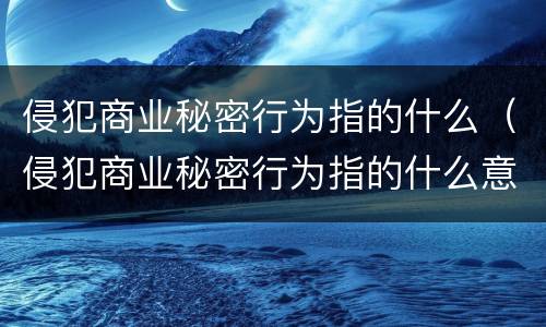 侵犯商业秘密行为指的什么（侵犯商业秘密行为指的什么意思）