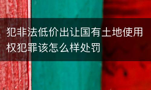犯非法低价出让国有土地使用权犯罪该怎么样处罚