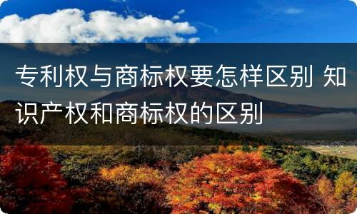 专利权与商标权要怎样区别 知识产权和商标权的区别