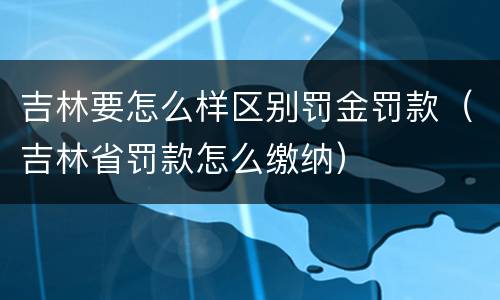 吉林要怎么样区别罚金罚款（吉林省罚款怎么缴纳）