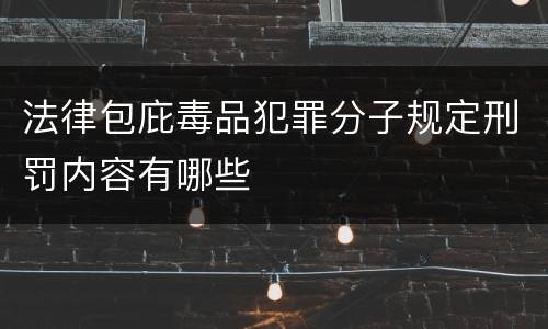 法律包庇毒品犯罪分子规定刑罚内容有哪些