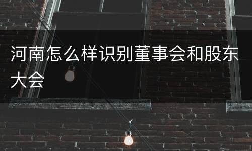 河南怎么样识别董事会和股东大会