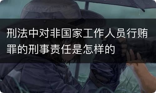 刑法中对非国家工作人员行贿罪的刑事责任是怎样的