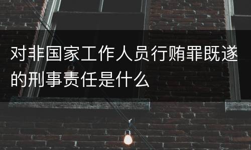 对非国家工作人员行贿罪既遂的刑事责任是什么
