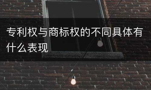 专利权与商标权的不同具体有什么表现