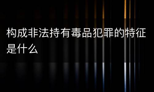 构成非法持有毒品犯罪的特征是什么