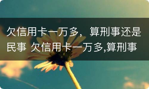 欠信用卡一万多，算刑事还是民事 欠信用卡一万多,算刑事还是民事案件