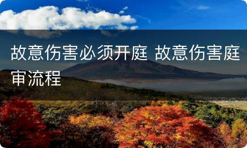 故意伤害必须开庭 故意伤害庭审流程