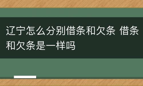 辽宁怎么分别借条和欠条 借条和欠条是一样吗