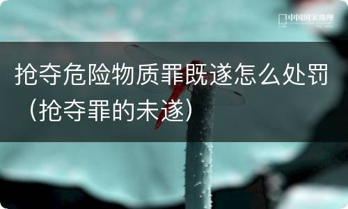 抢夺危险物质罪既遂怎么处罚（抢夺罪的未遂）