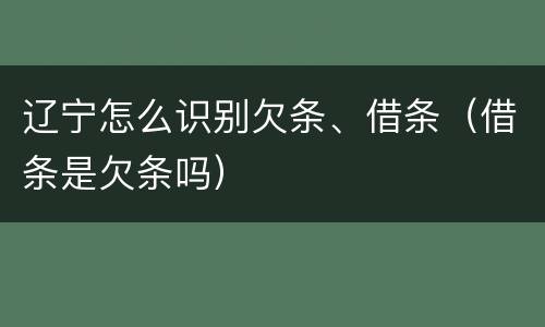 辽宁怎么识别欠条、借条（借条是欠条吗）
