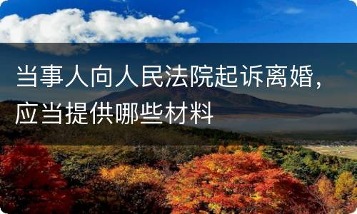 当事人向人民法院起诉离婚，应当提供哪些材料