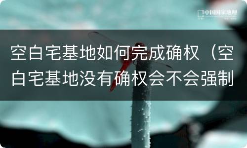 空白宅基地如何完成确权（空白宅基地没有确权会不会强制收回）