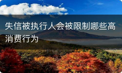 失信被执行人会被限制哪些高消费行为