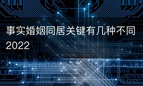 事实婚姻同居关键有几种不同2022