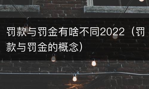 罚款与罚金有啥不同2022（罚款与罚金的概念）