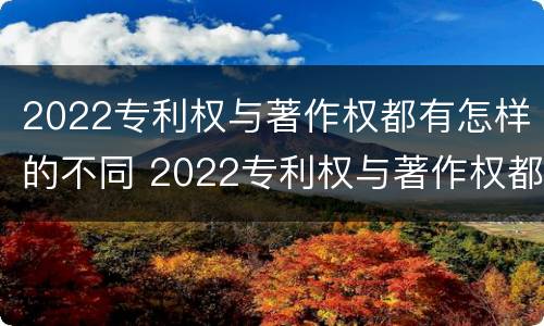 2022专利权与著作权都有怎样的不同 2022专利权与著作权都有怎样的不同呢