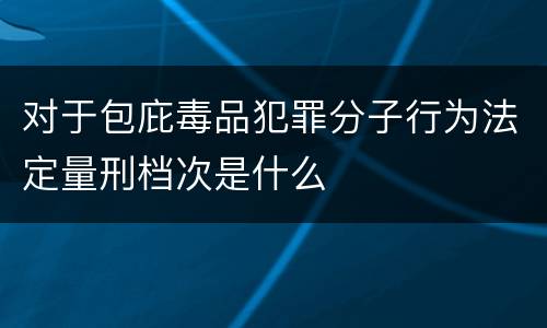 对于包庇毒品犯罪分子行为法定量刑档次是什么