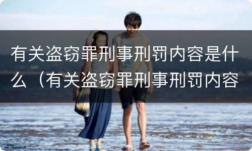 有关盗窃罪刑事刑罚内容是什么（有关盗窃罪刑事刑罚内容是什么意思）
