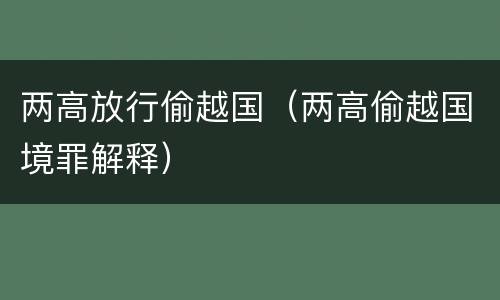 两高放行偷越国（两高偷越国境罪解释）