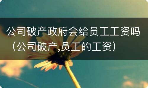 公司破产政府会给员工工资吗（公司破产,员工的工资）