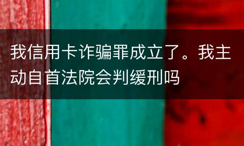 我信用卡诈骗罪成立了。我主动自首法院会判缓刑吗
