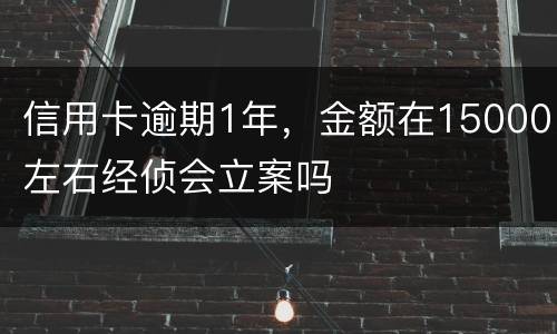 信用卡逾期1年，金额在15000左右经侦会立案吗