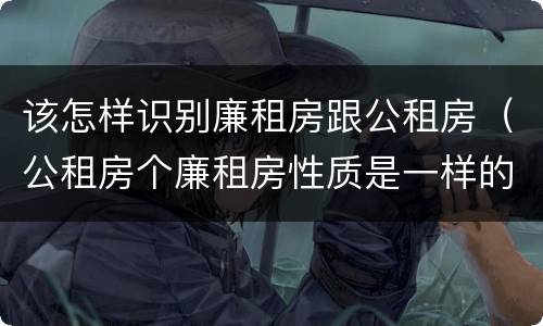 该怎样识别廉租房跟公租房（公租房个廉租房性质是一样的吗）